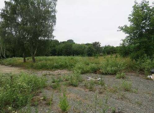 Ansicht Verpachtung Grünlandfläche