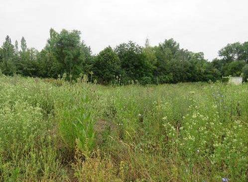 Ansicht Verpachtung Grünlandfläche