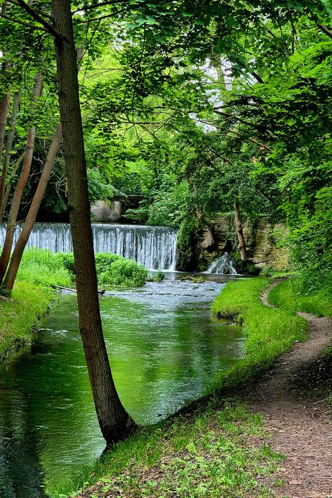 Seufzerallee in Bad Langensalza