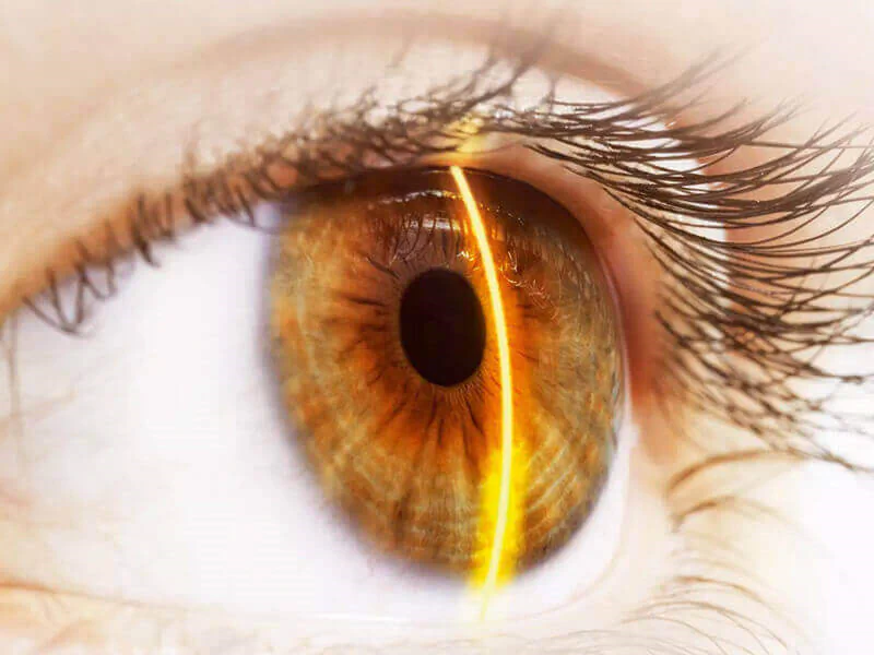 Bildbeschreibung / description: 