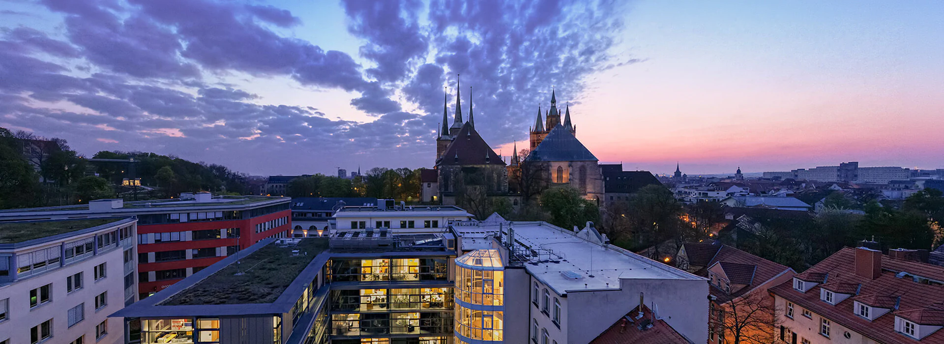 Bildbeschreibung / description: 