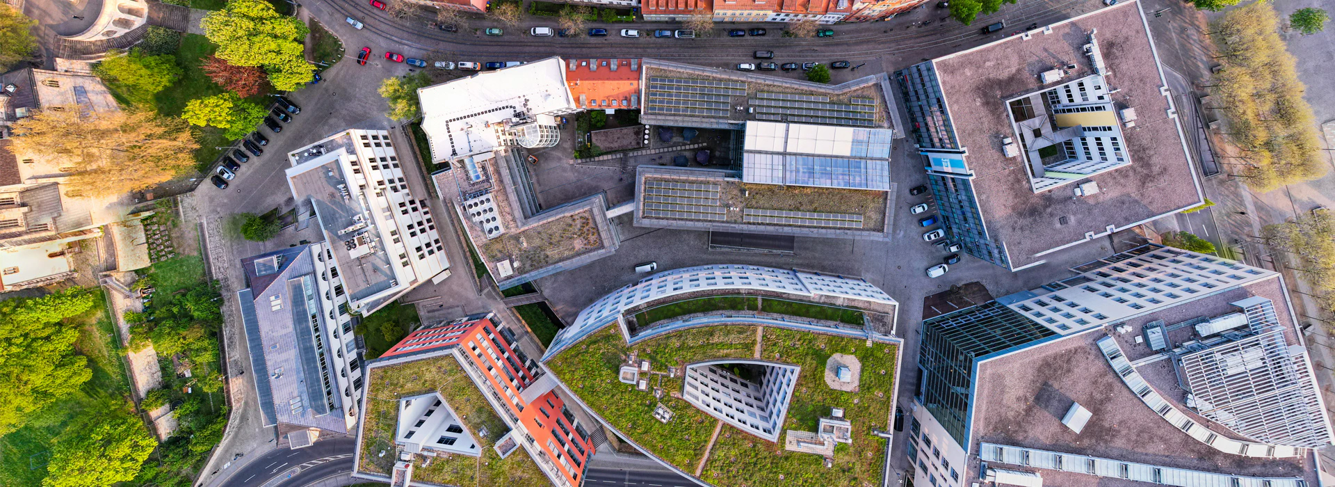 Bildbeschreibung / description: 