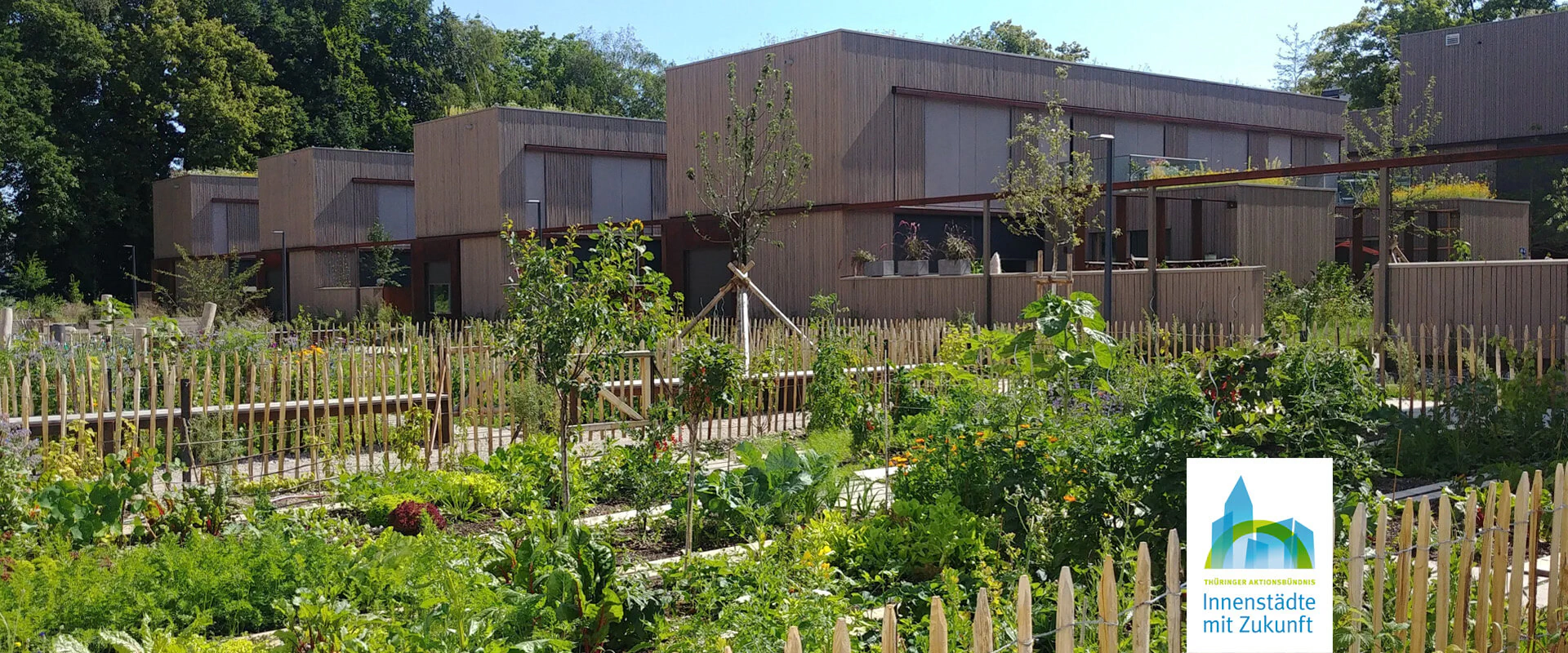 Bildbeschreibung / description: Gärten mit Pflanzen und Bäumen vor mehreren Wohngebäuden, welche eine ruhige und einladende Atmosphäre schaffen, Logo des Aktionsbündnis Innenstädte unten Rechts