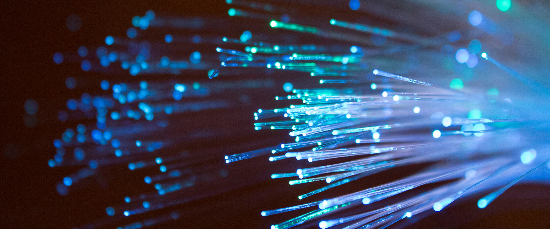 Bildbeschreibung / description: