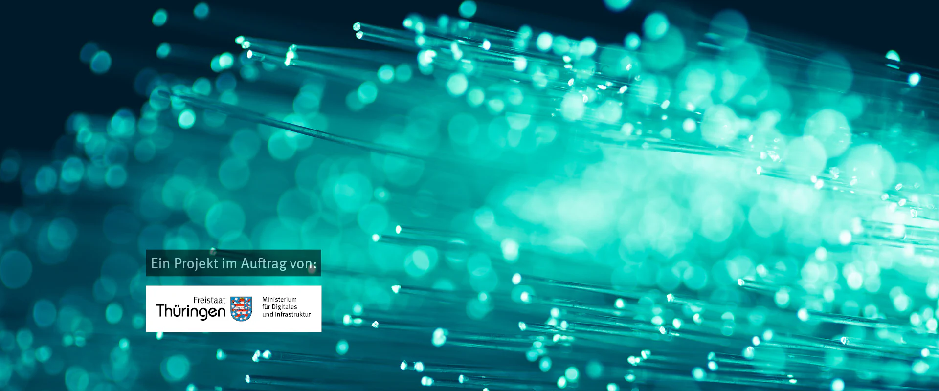 Bildbeschreibung / description: 