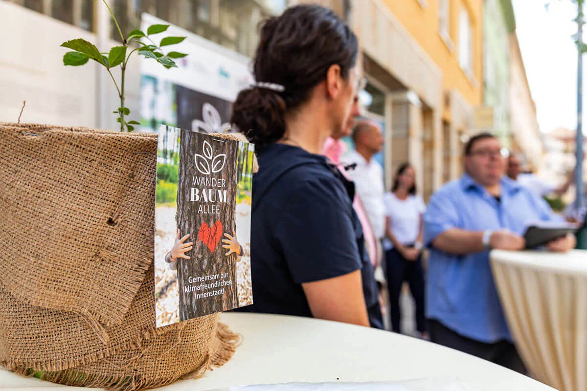 Bildbeschreibung / description: Blumentopf inklusive Pflanze auf dem Event zur Wanderbaumallee